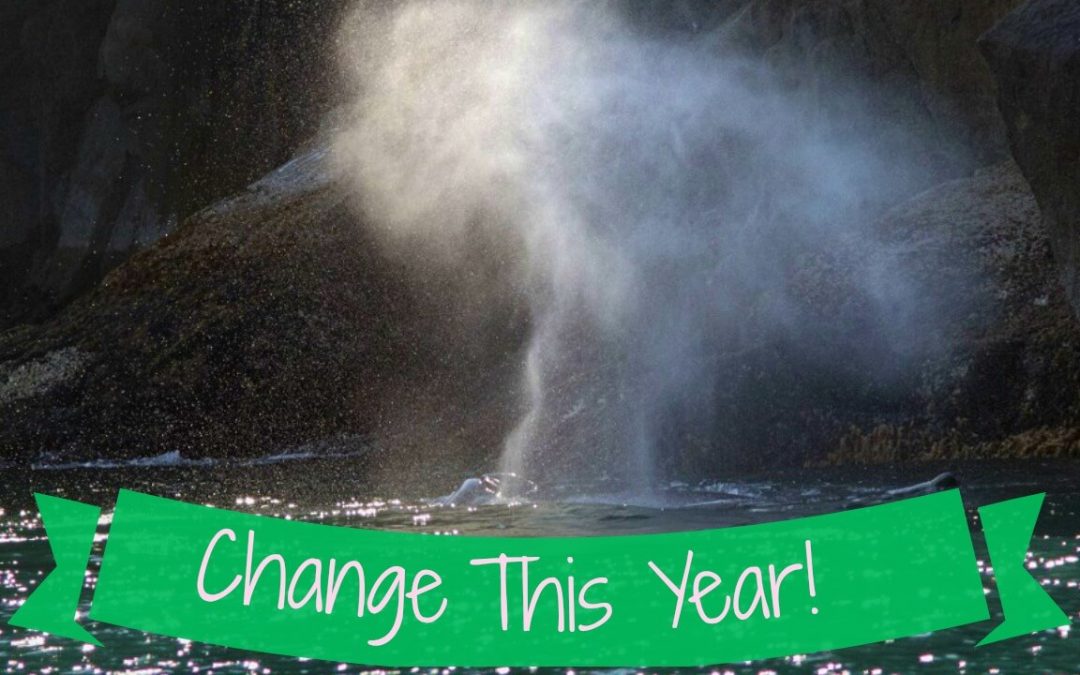 How We Plan to Change This Year and Blow Last Year Out of the Water!